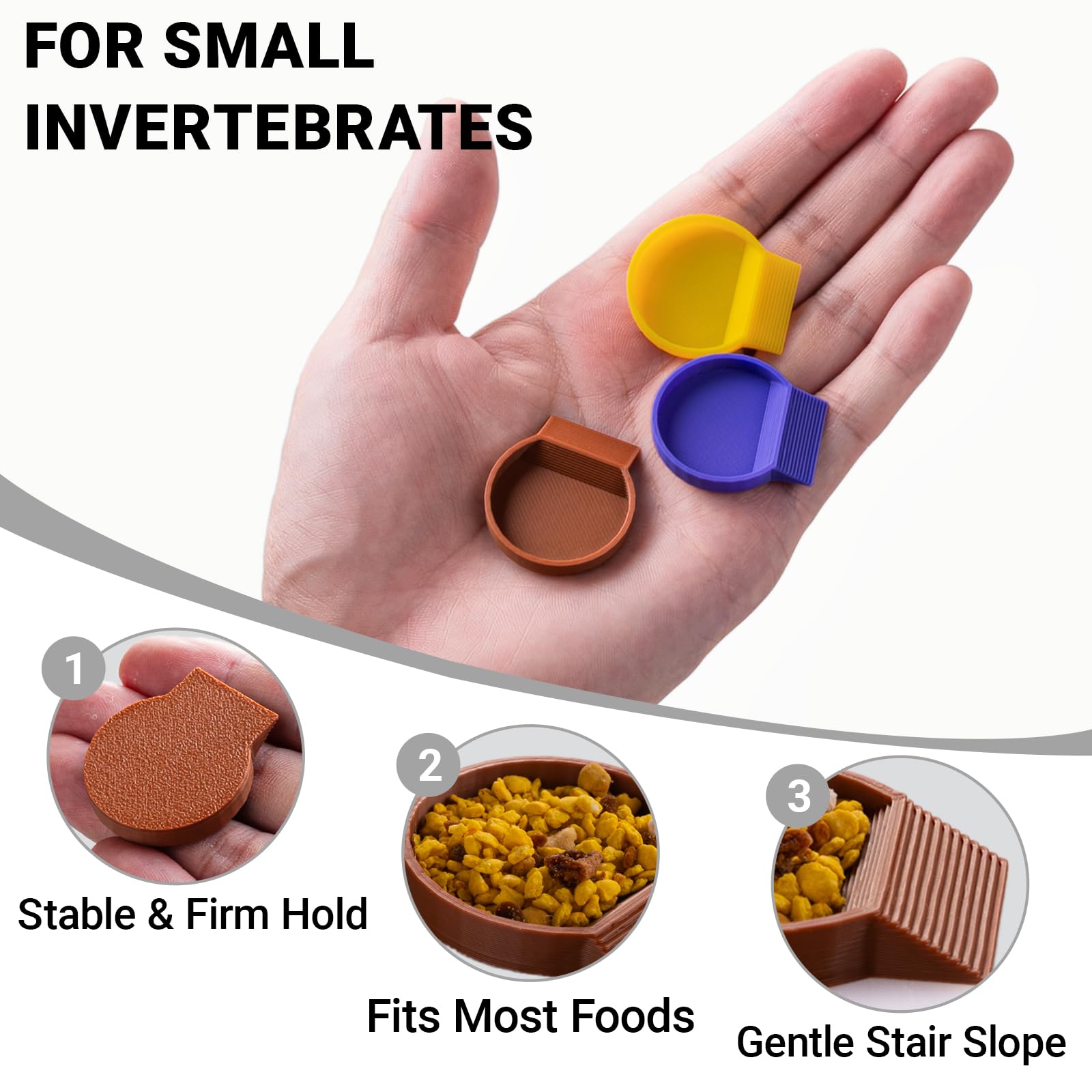 HERPDEN feeding dishes compact size fits small feeding portions for dubia roaches.