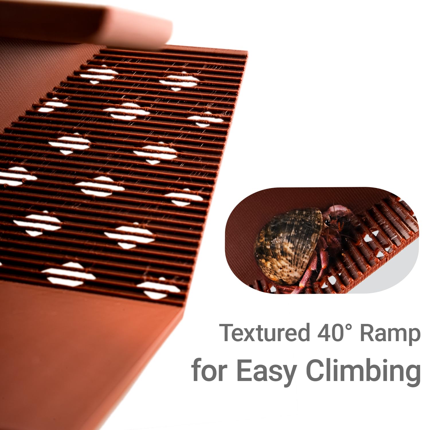 HERPDEN Hermit Crab Cave safe-materials highlight PLA durability and peace of mind.