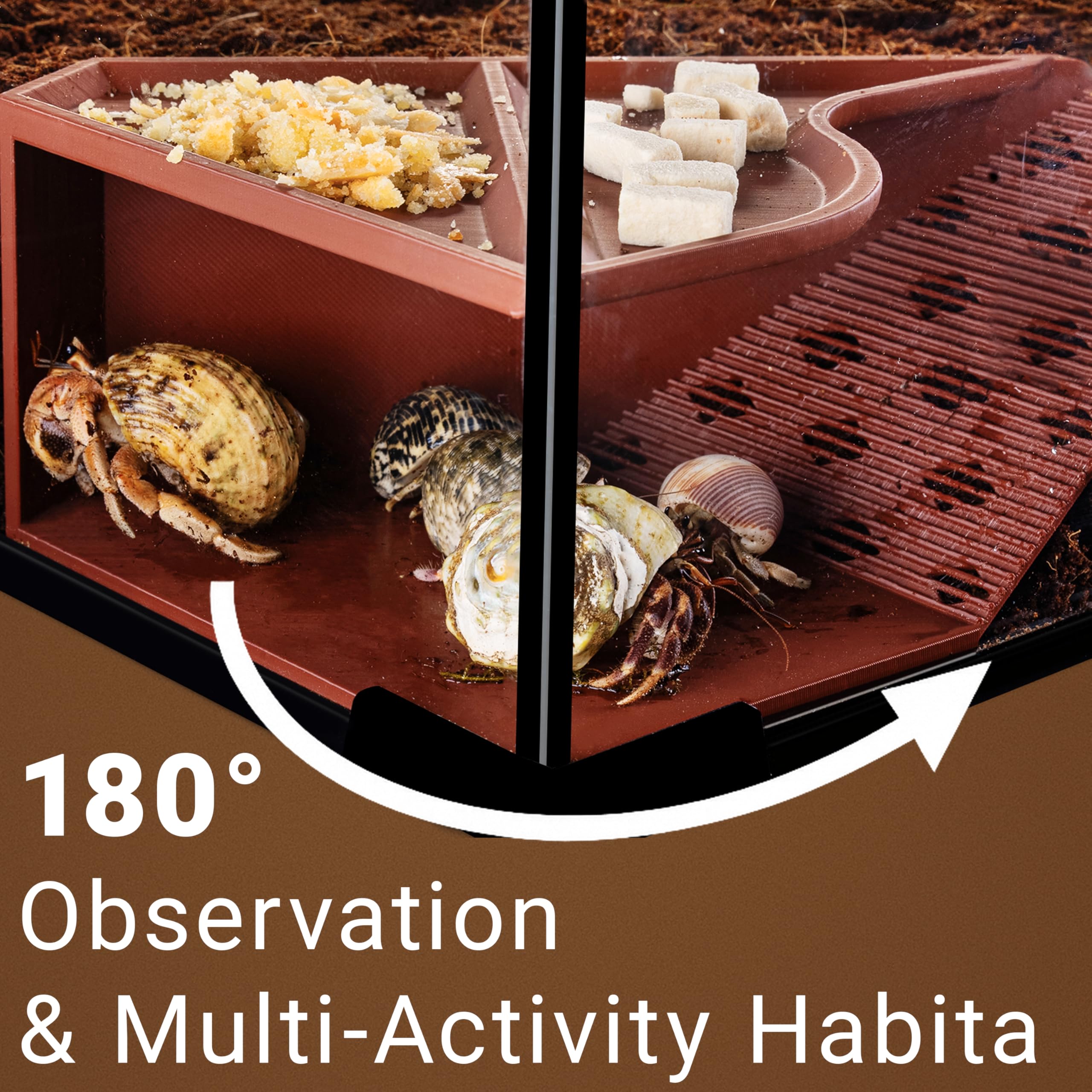 HERPDEN Hermit Crab Cave stairway guides crabs with a safe 40-degree slope.