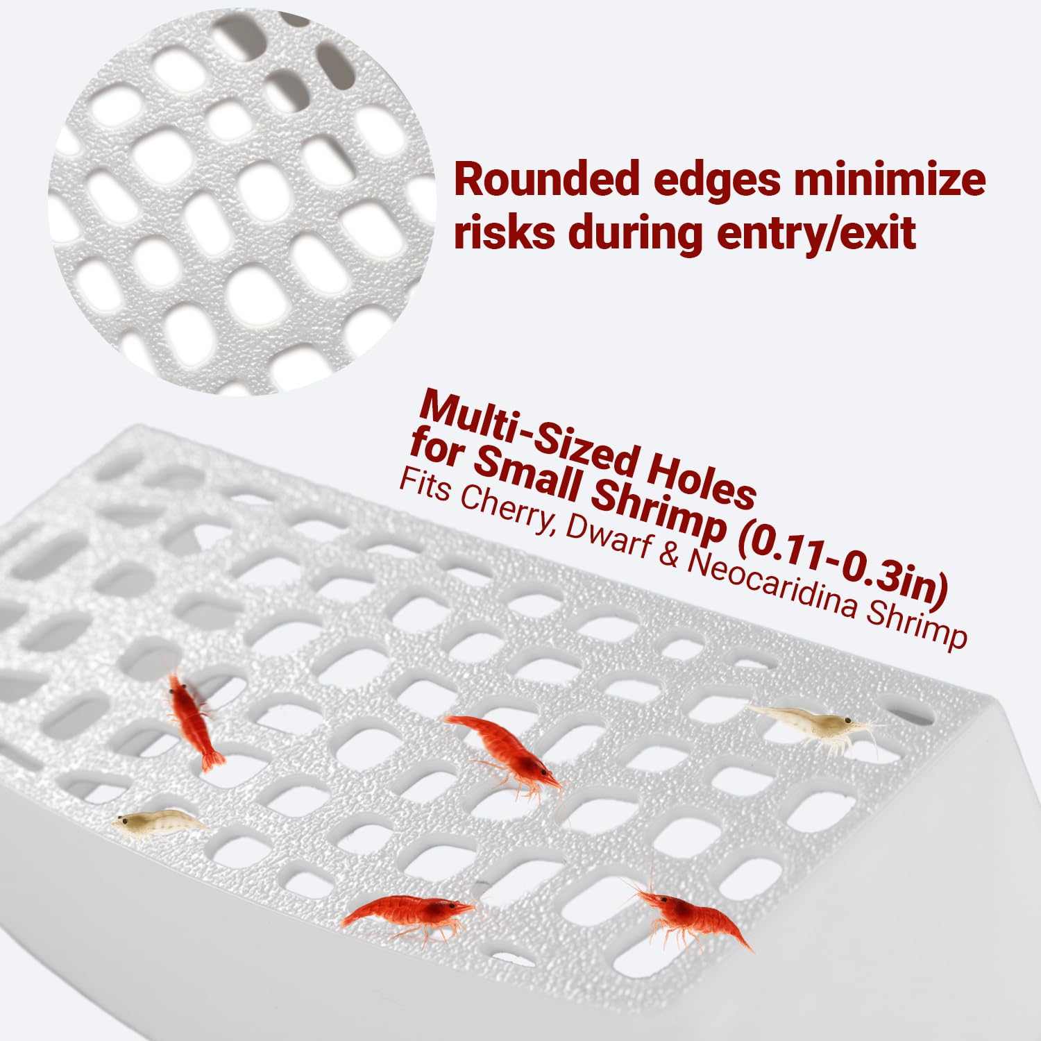 HERPDEN precision-entry holes fit small shrimp with smooth edges.