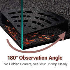 HERPDEN Shrimp Cave 2-Pack fan-shaped design blends with aquascapes.