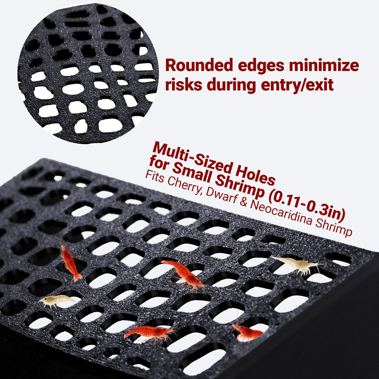 HERPDEN shrimp hide cave entrance holes highlight precise access for dwarf shrimp.