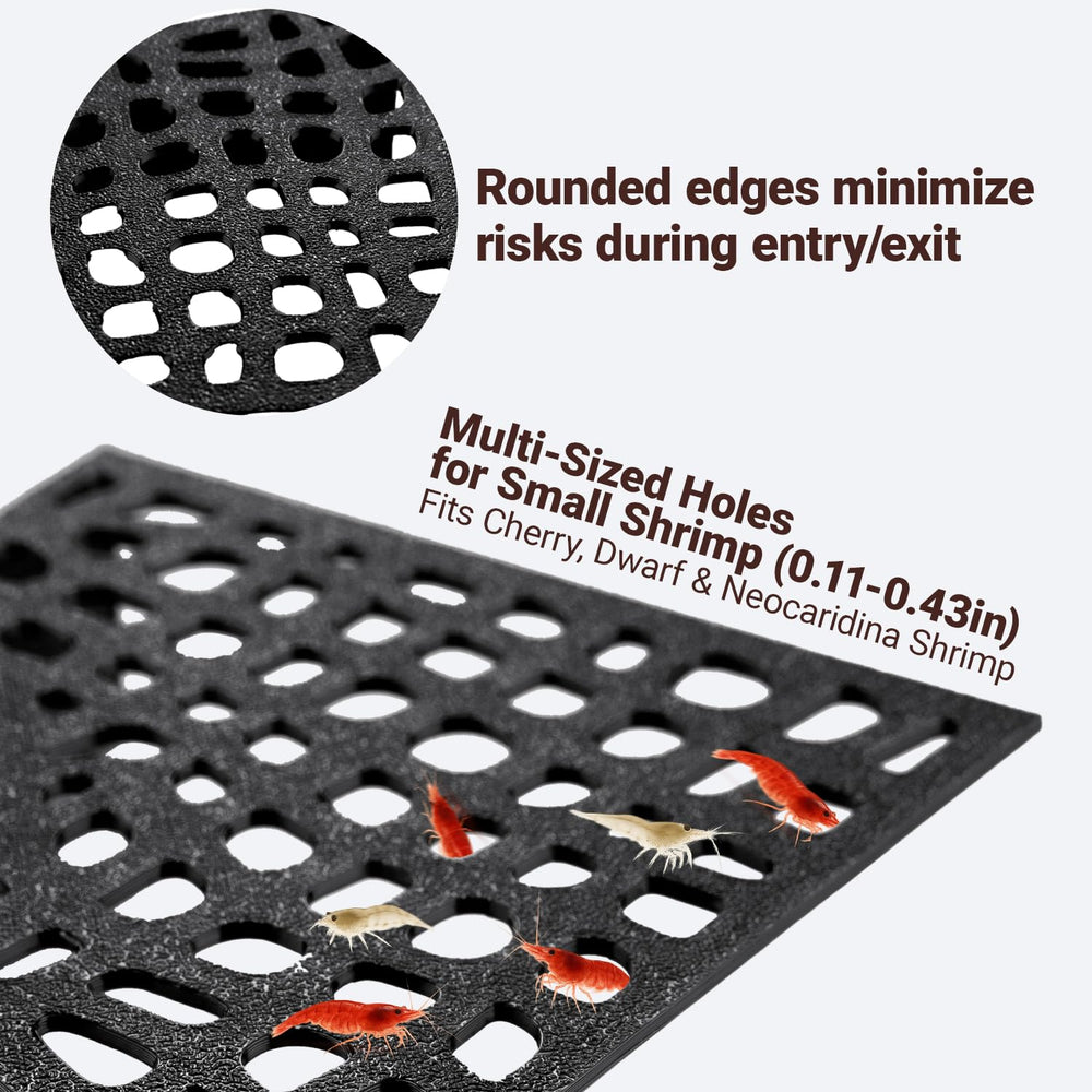 HERPDEN multi-sized holes support Cherry and Dwarf shrimp for natural movement.
