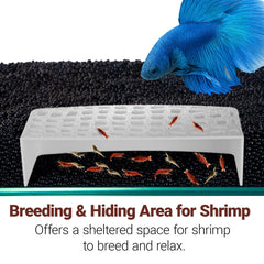 HERPDEN wide-view shrimp cave shows natural observation in the tank.