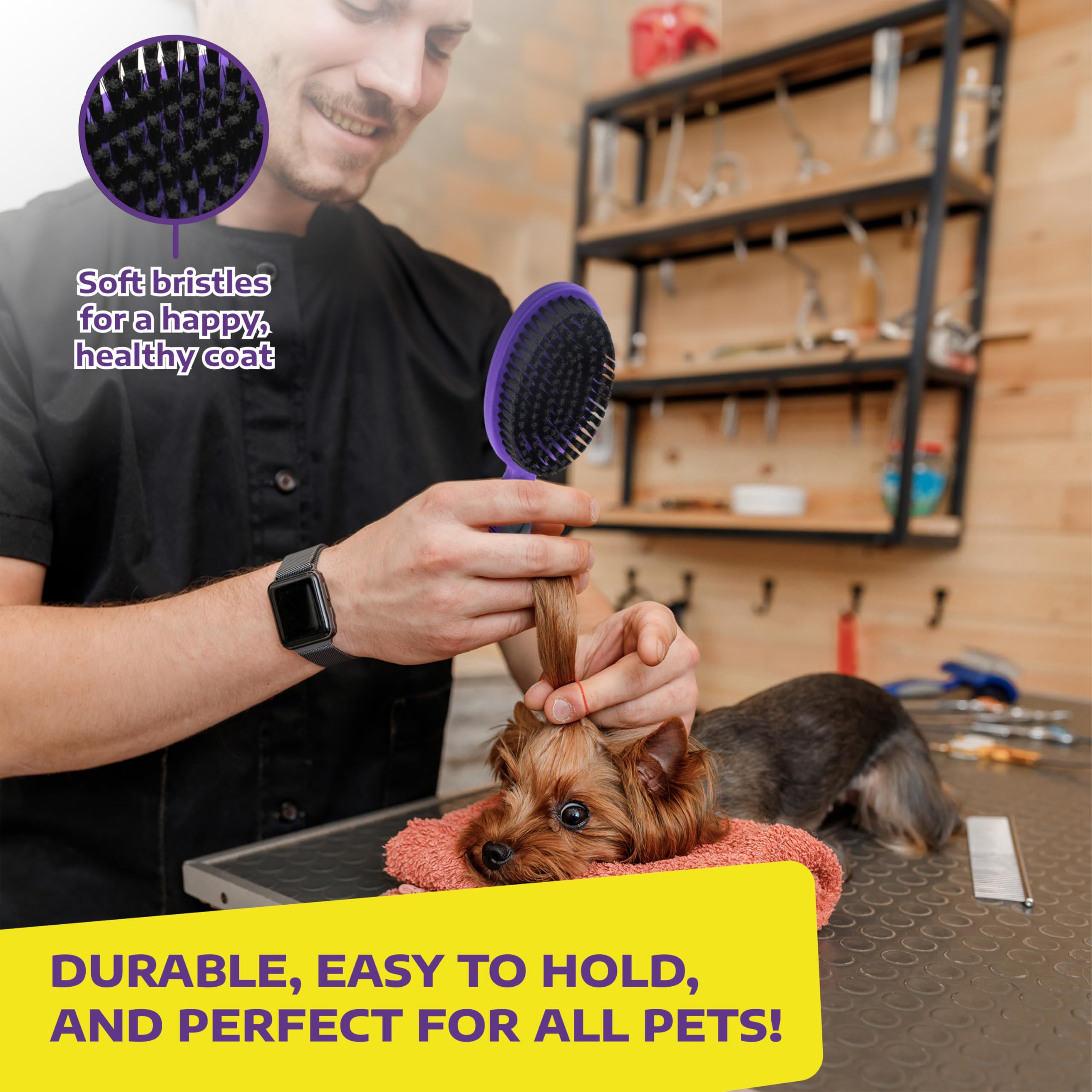 Hertzko Bristle Brush helps distribute natural oils for a shiny coat