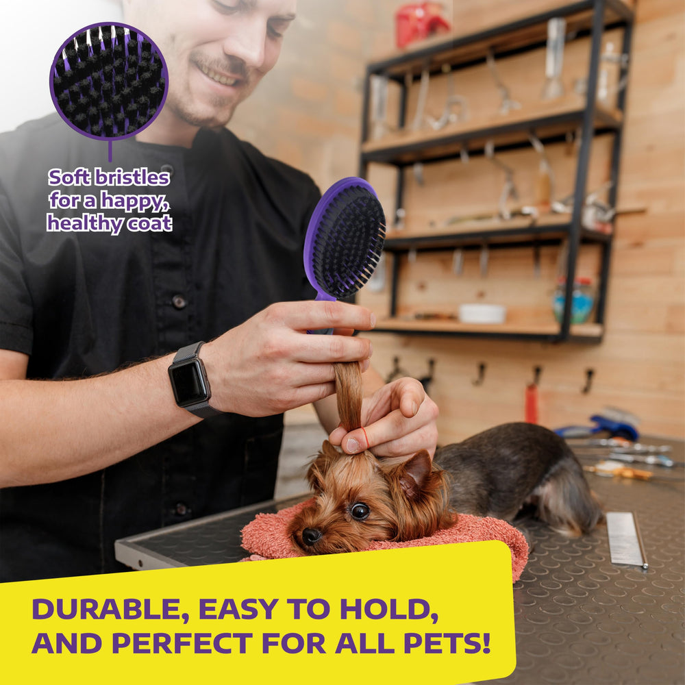 Hertzko Bristle Brush helps distribute natural oils for a shiny coat