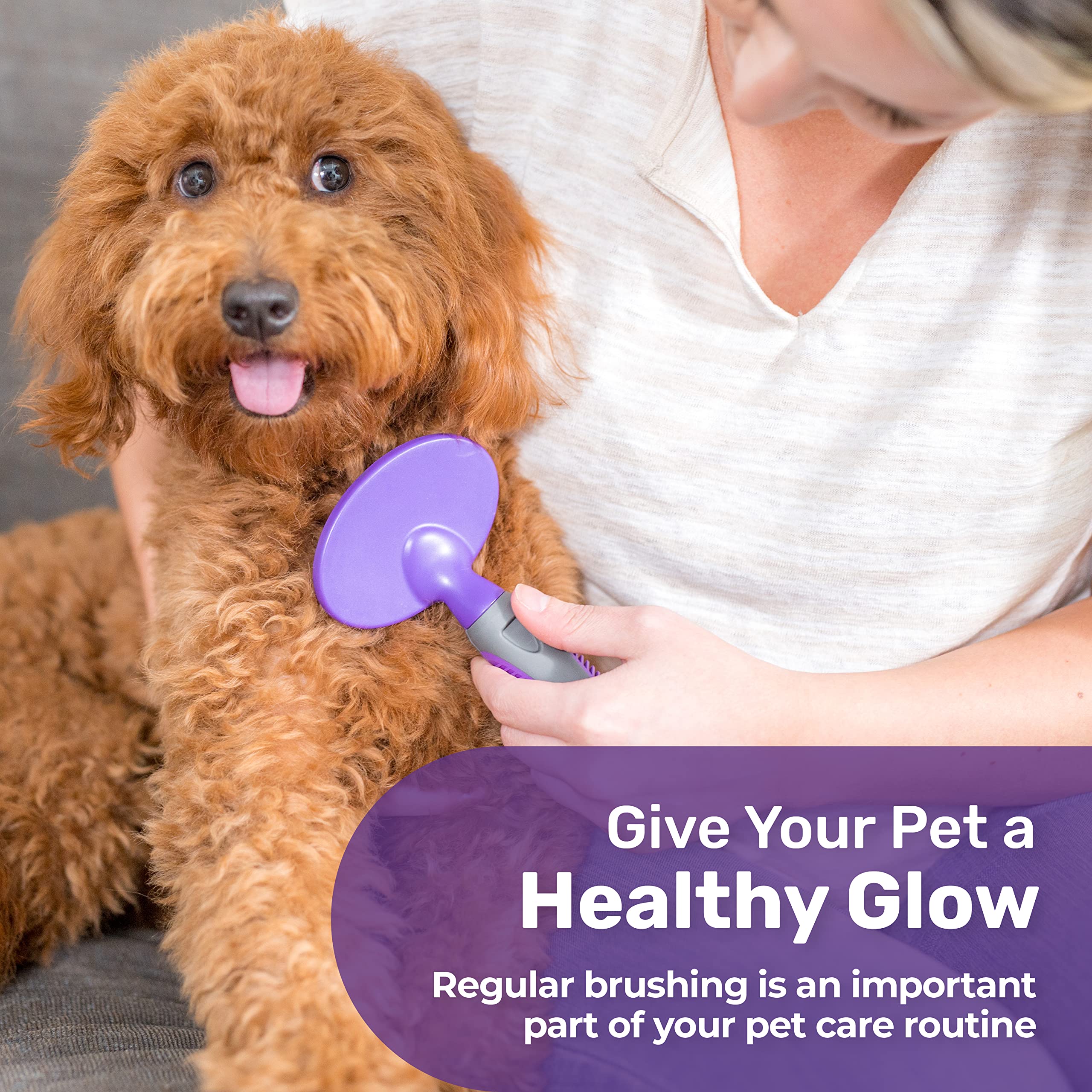 Hertzko dog brush in grooming action for smooth coat massage