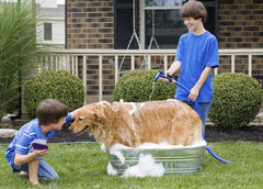 Hertzko Pet Bath Brush in action provides soothing massage while shampooing.