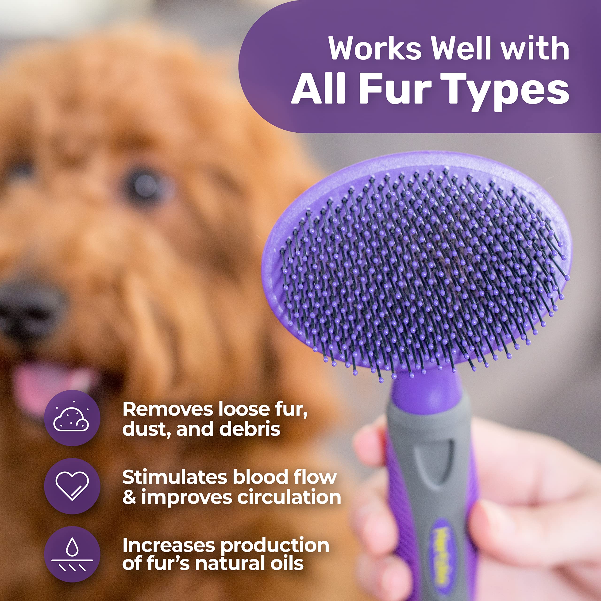 Hertzko pet brush safely used on face and paws