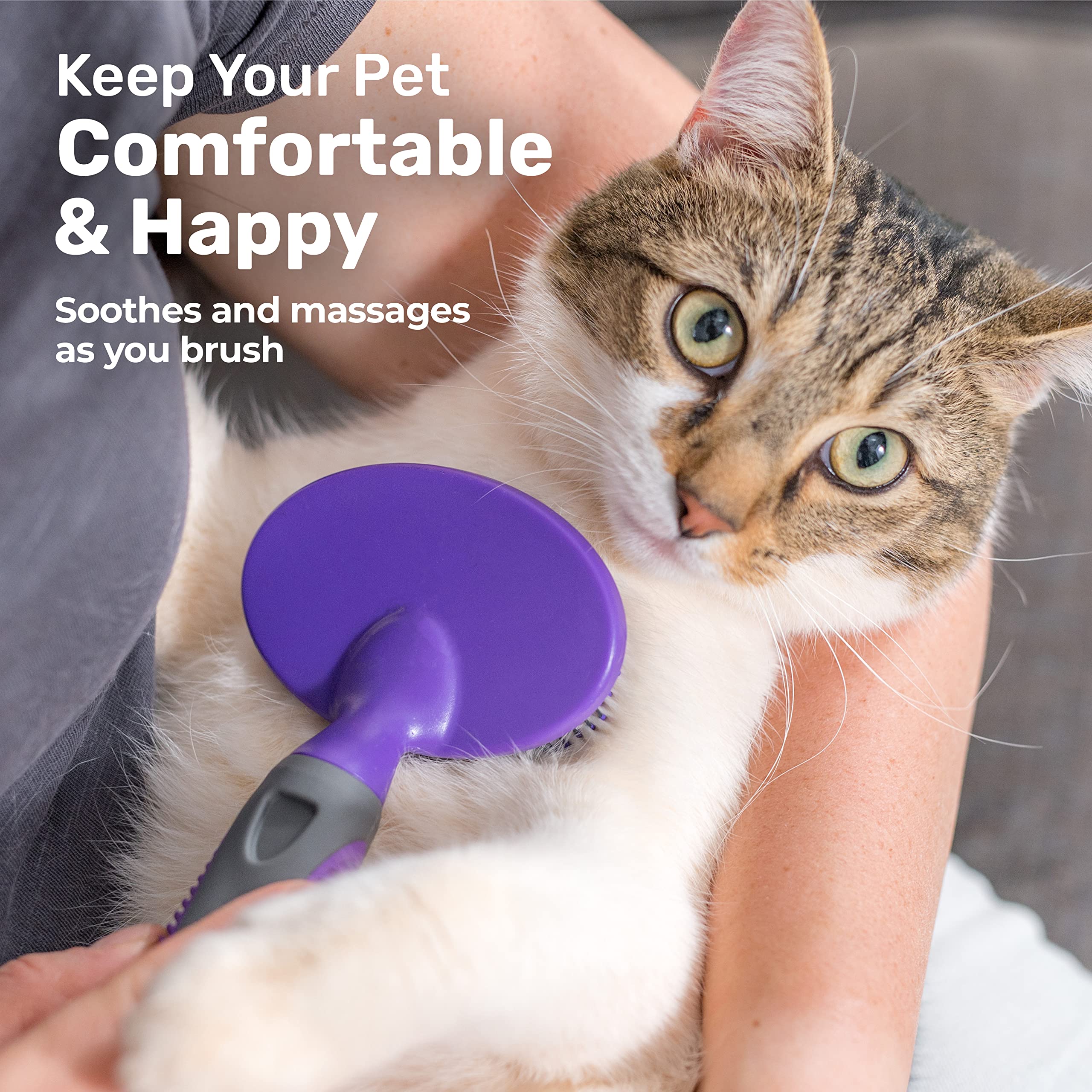 Hertzko shedding tool for dogs and cats improving coat health