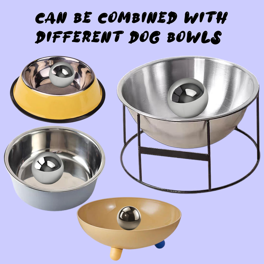 HERXU CO dog eating behavior demo highlights slower, mindful meals.