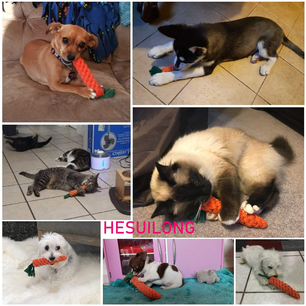 HESUILONG dental-cleaning dog toy to massage gums during play.