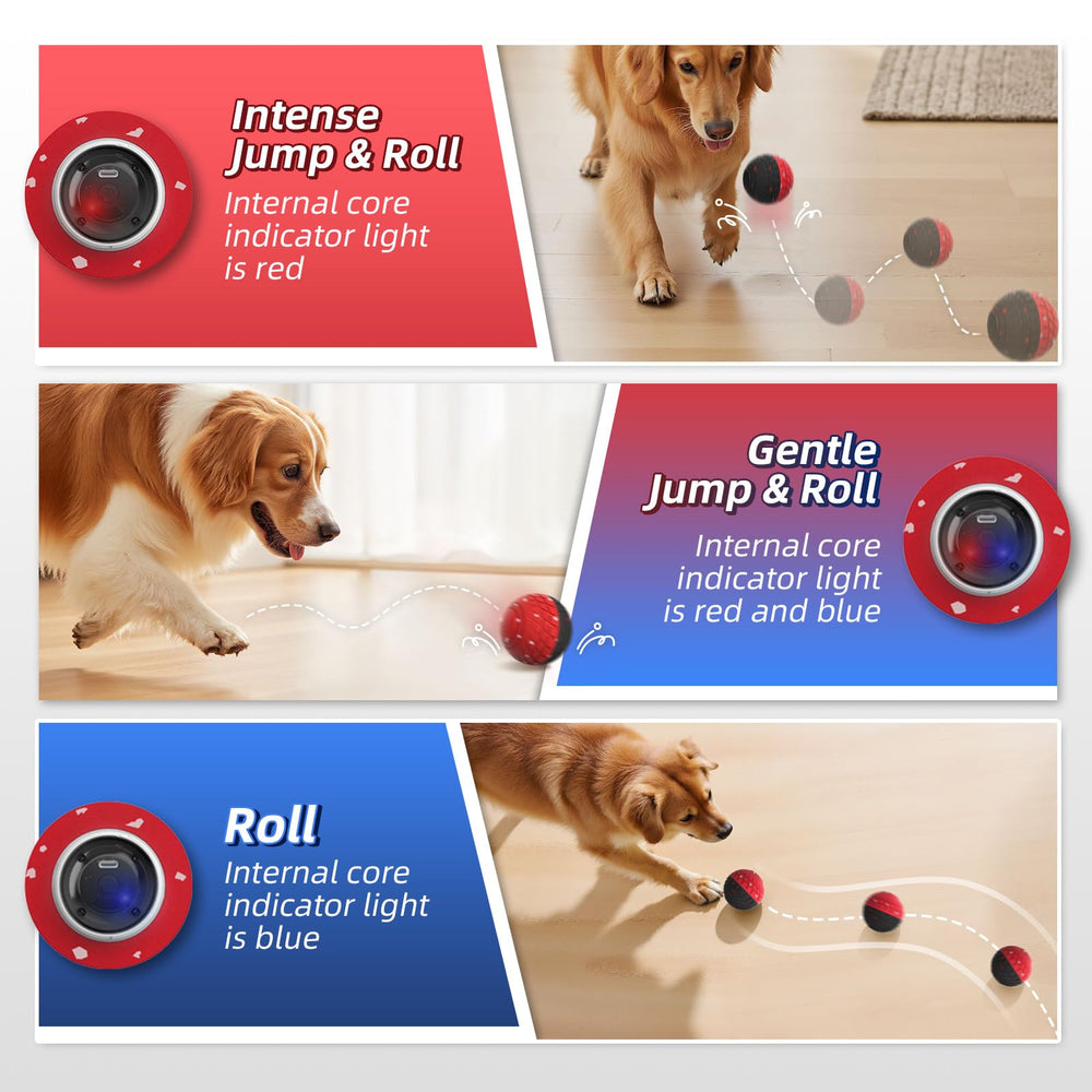 HETOO dog ball gentle mode demonstrating safe, soothing play