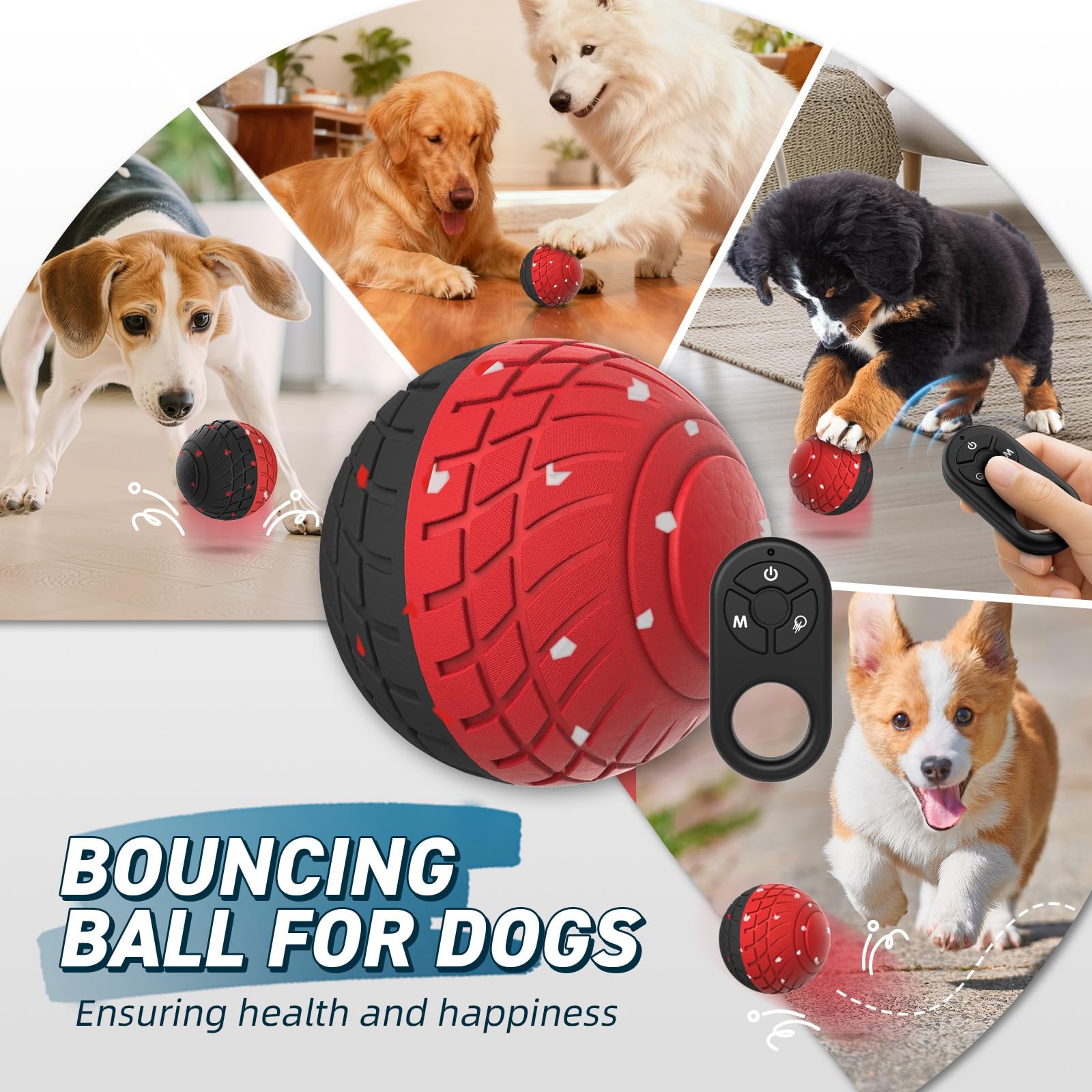 HETOO dog ball indoor outdoor use illustrating versatile play locations
