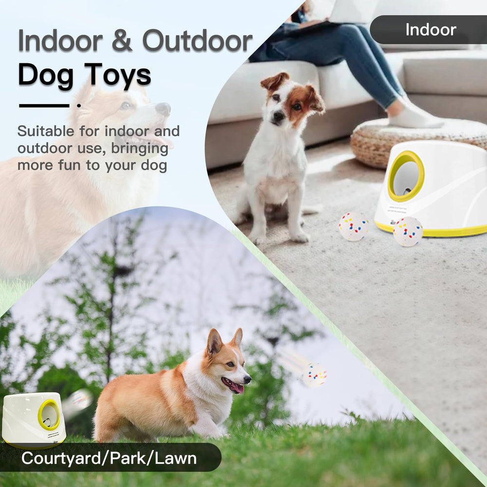 HETOO dog in action—outdoor fetch session showcasing energetic play.