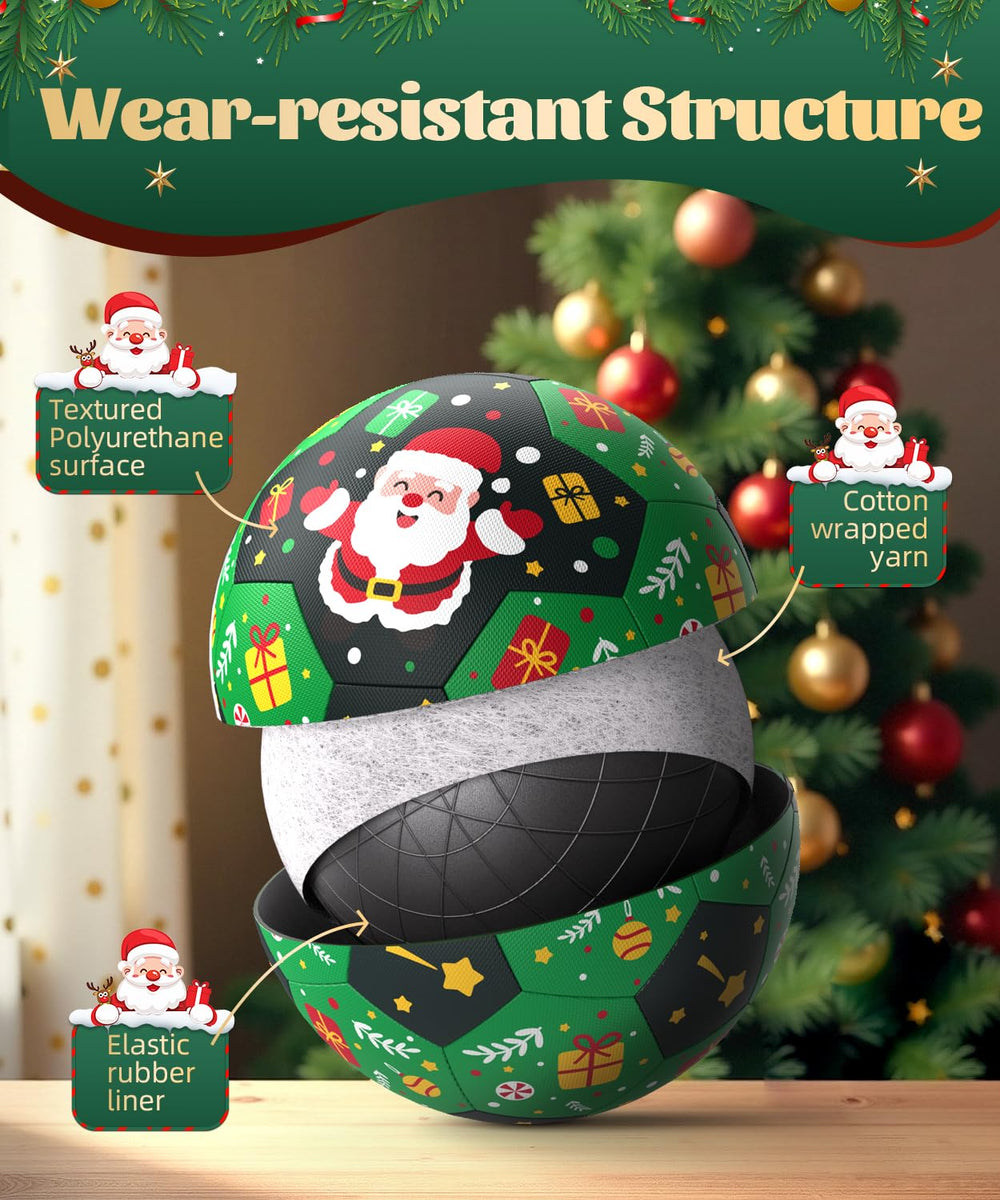 HETOO durable ball bounce on grass and sand for active dogs.