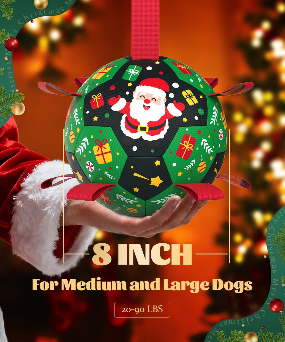 HETOO indoor-outdoor dog toy supports active play and training.