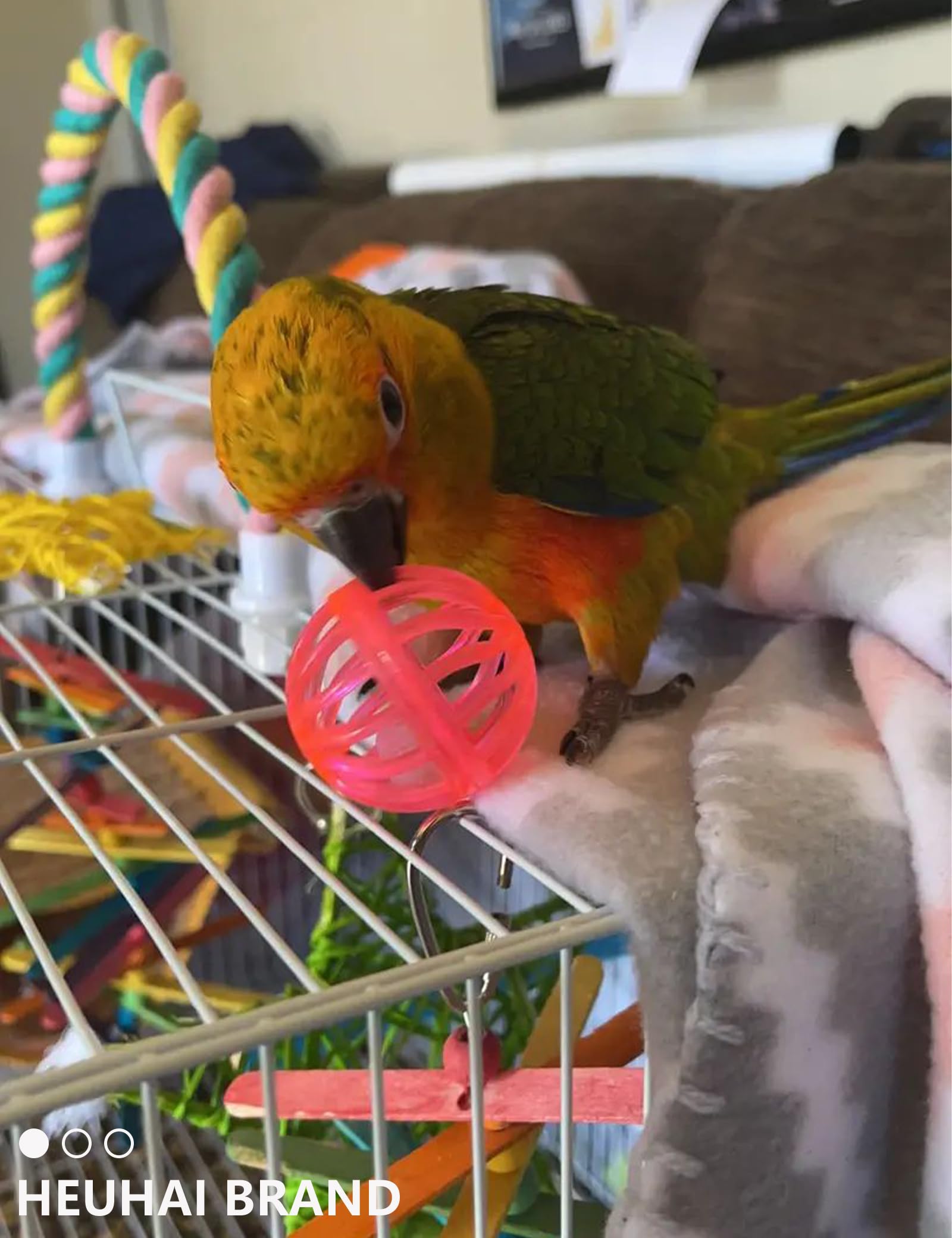 HEUHAI easy-clean materials simplify maintenance for busy bird owners