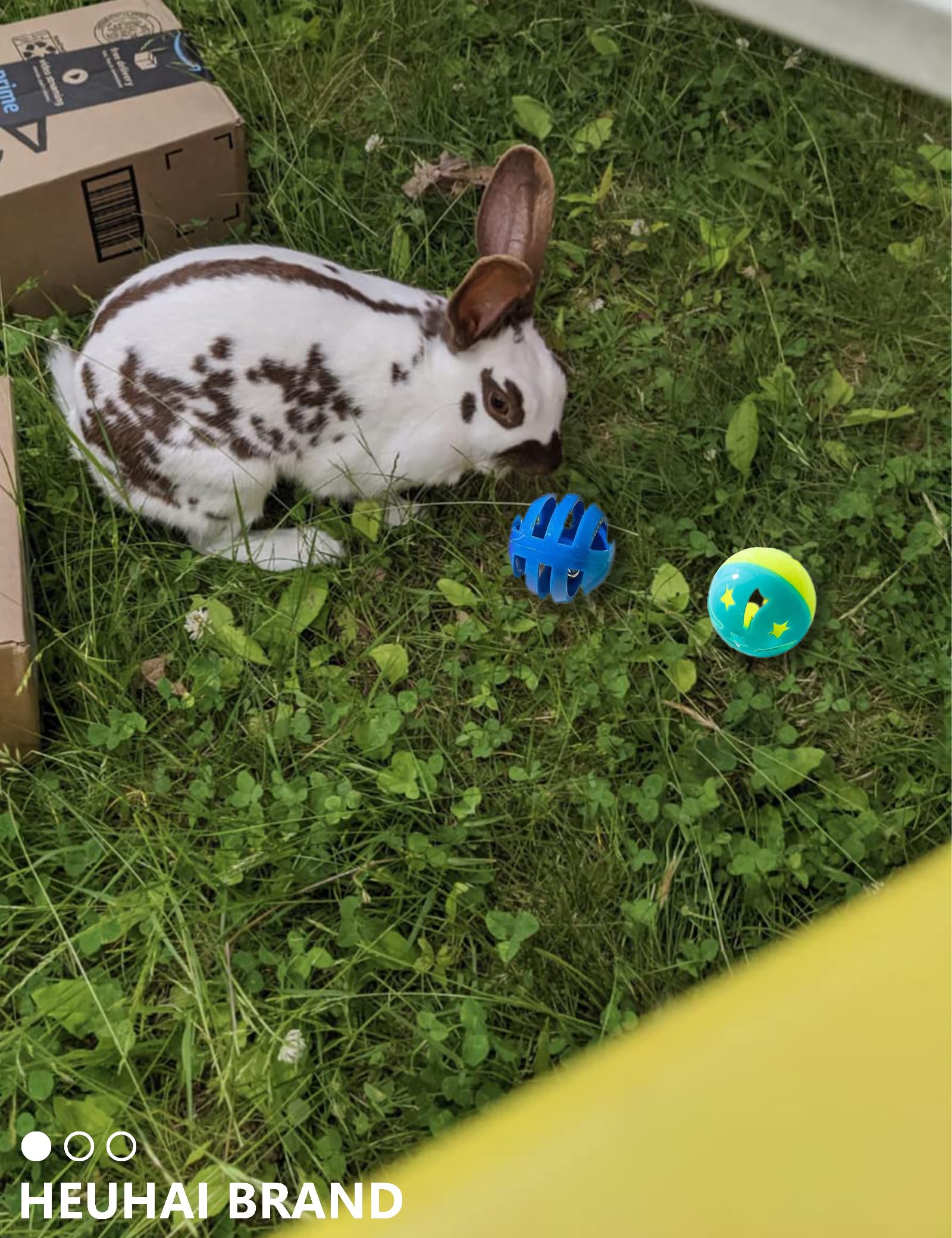HEUHAI indoor bunny toys promote interactive bonding during owner-and-pet play