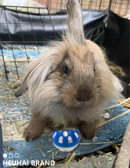 HEUHAI bunny toys variety shapes encourages mental stimulation and exploration