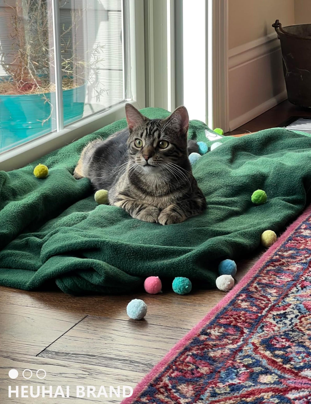 HEUHAI cat balls help protect furniture by channeling boredom into active play.