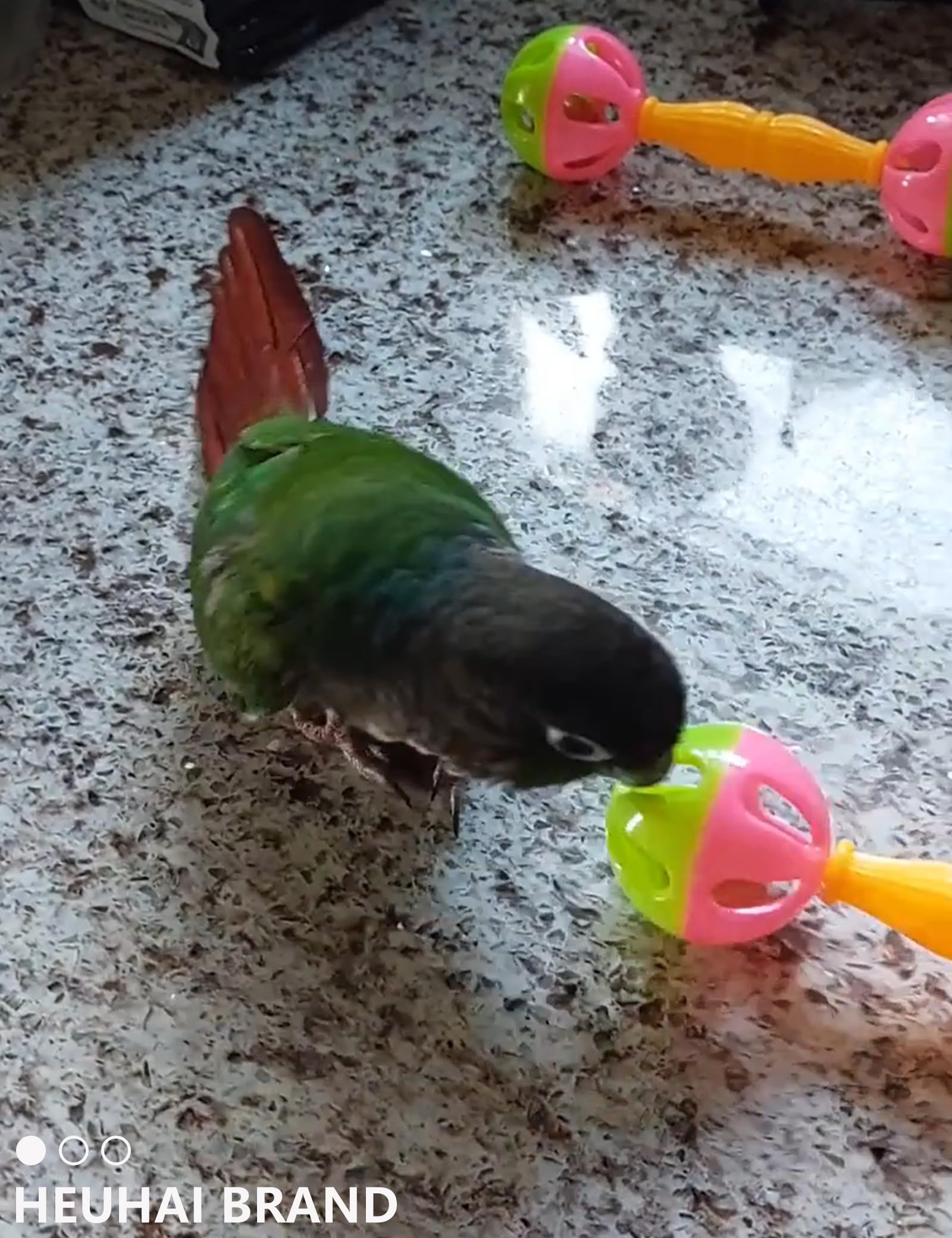 HEUHAI customizable mix ideas adapt to different birds and play styles.