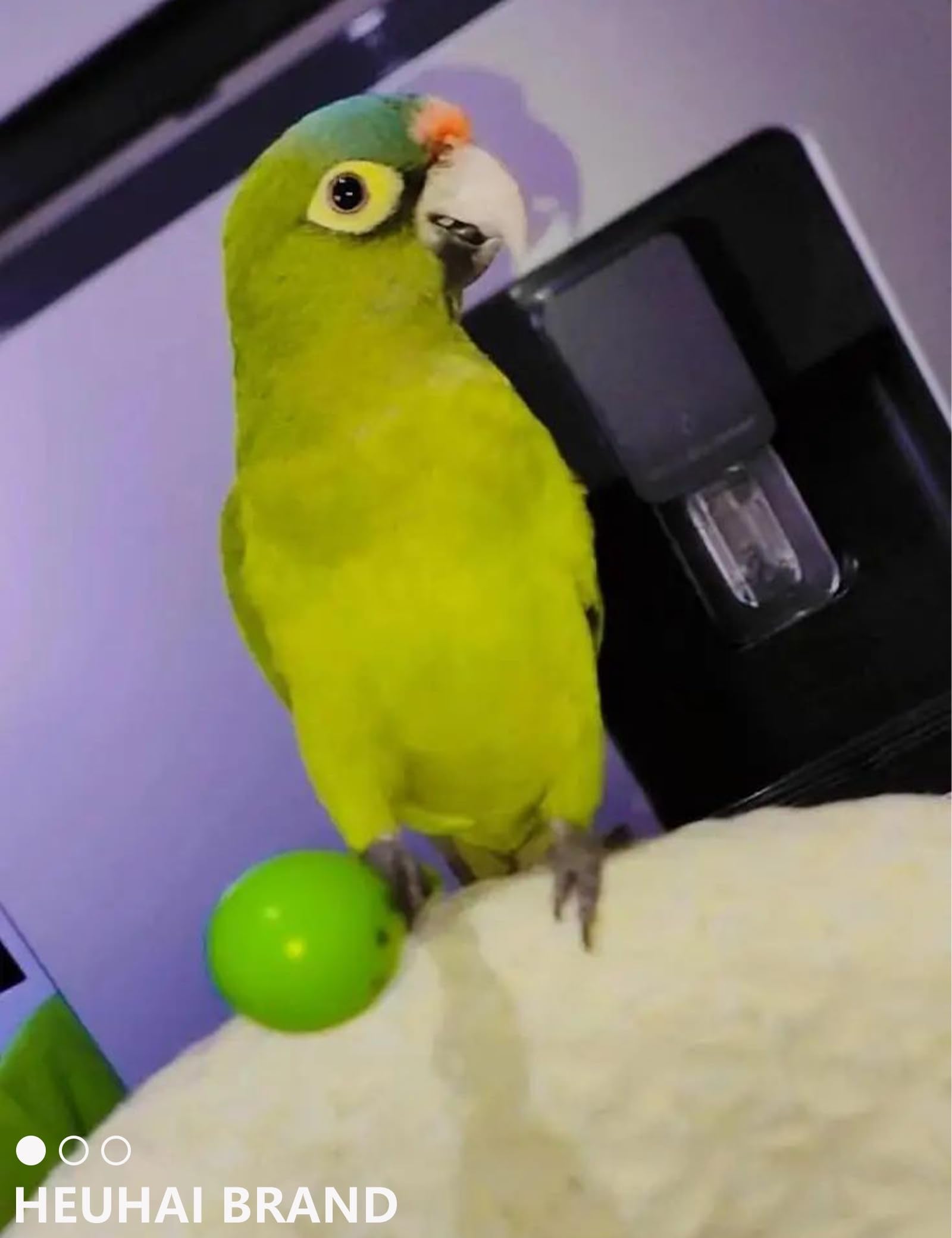 HEUHAI parakeet toys promote foot play and dexterity during daily sessions.