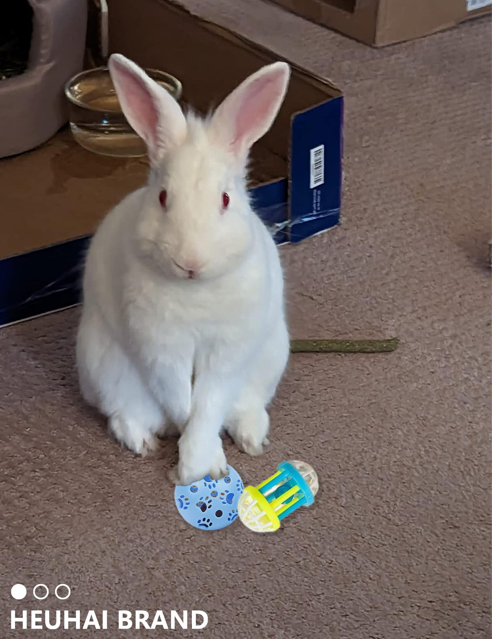 HEUHAI rabbit toys with chewing design supports dental health through play