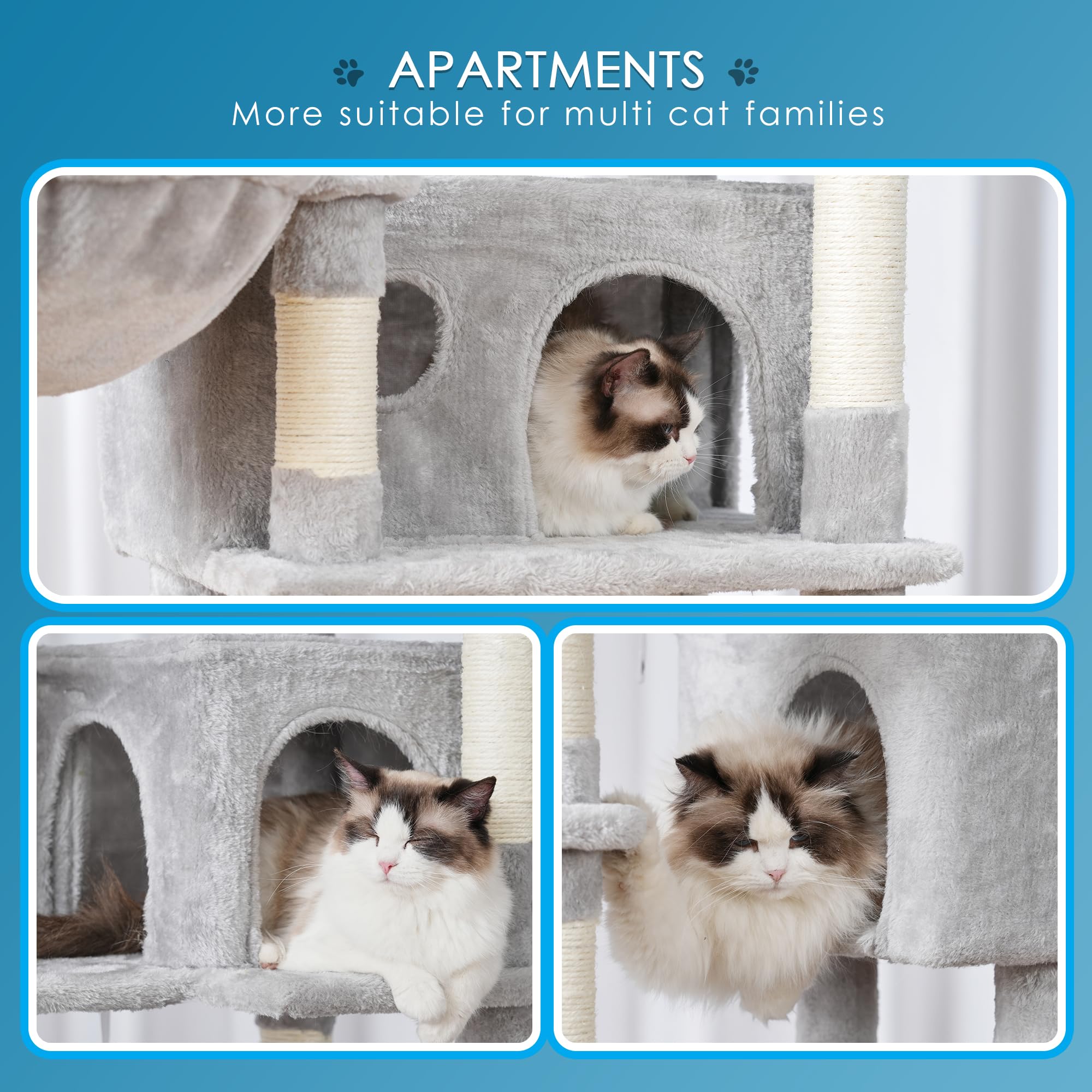 Hey-brother cat tree right top deck offers panoramic overlooks for play.