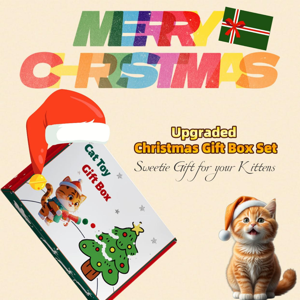 Hey Jumi portable toy for indoor and outdoor fun with your cat.
