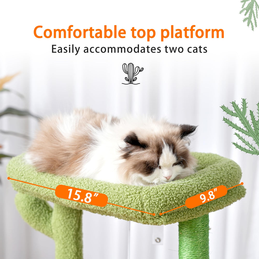 Heybly cat tree built-in condo offers private retreat and nap moments