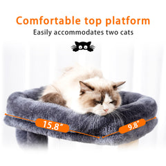 Heybly cat tree with built in condo offering private retreat zones.
