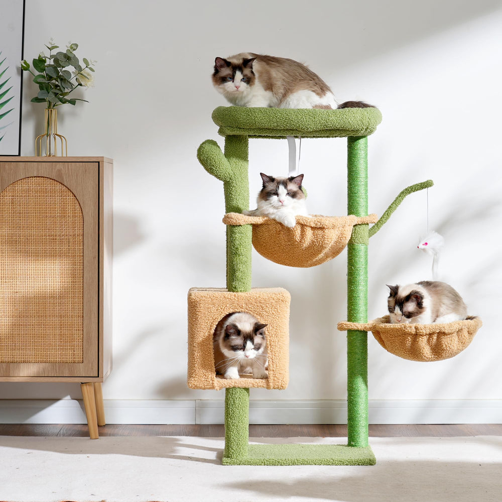 Heybly cat tree fortified base ensures stable climbing and playful sessions