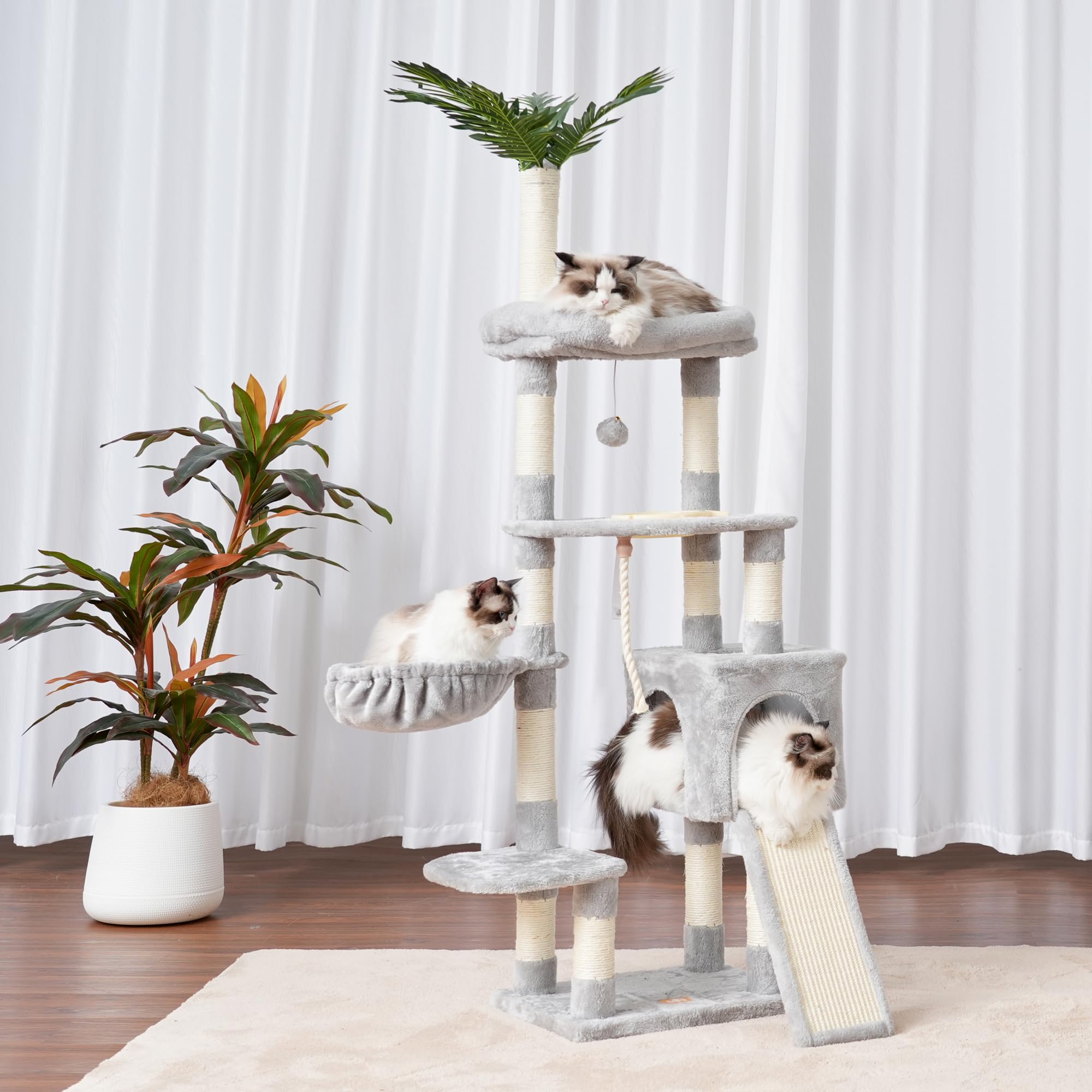 Heybly HCT015W padded perches provide cozy resting spots and elevated viewpoints.