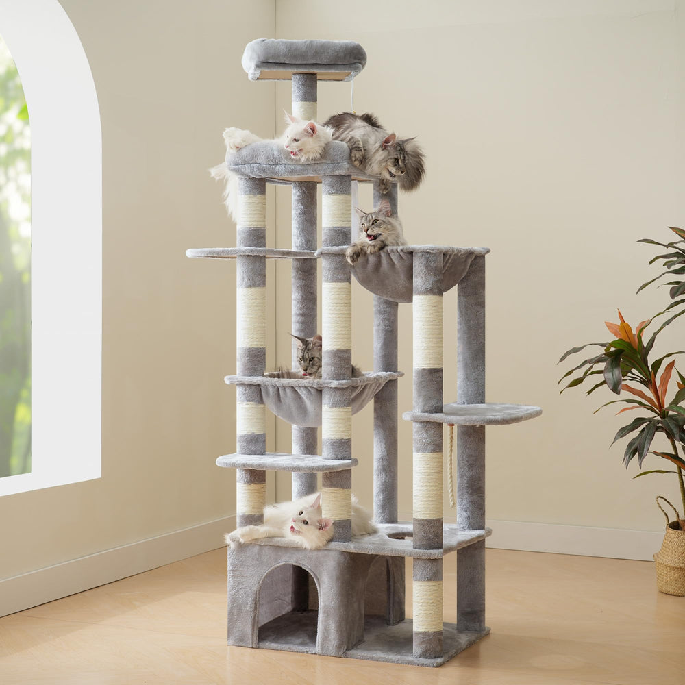 Heybly cat tree multi-level layout encourages play and exploration.