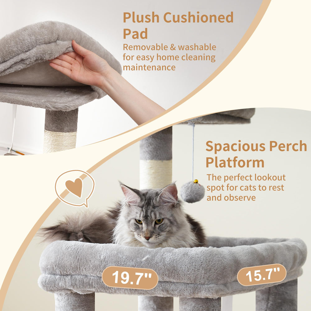 Heybly cat tree top perch offers a panoramic view for big cats.