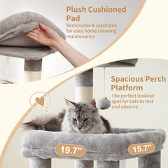 Heybly cat tree top perch offers a panoramic view for big cats.