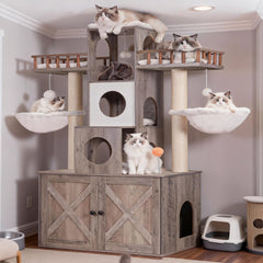 Heybly cat tree top perches with fences provide secure elevated resting spots for multi-cat households.