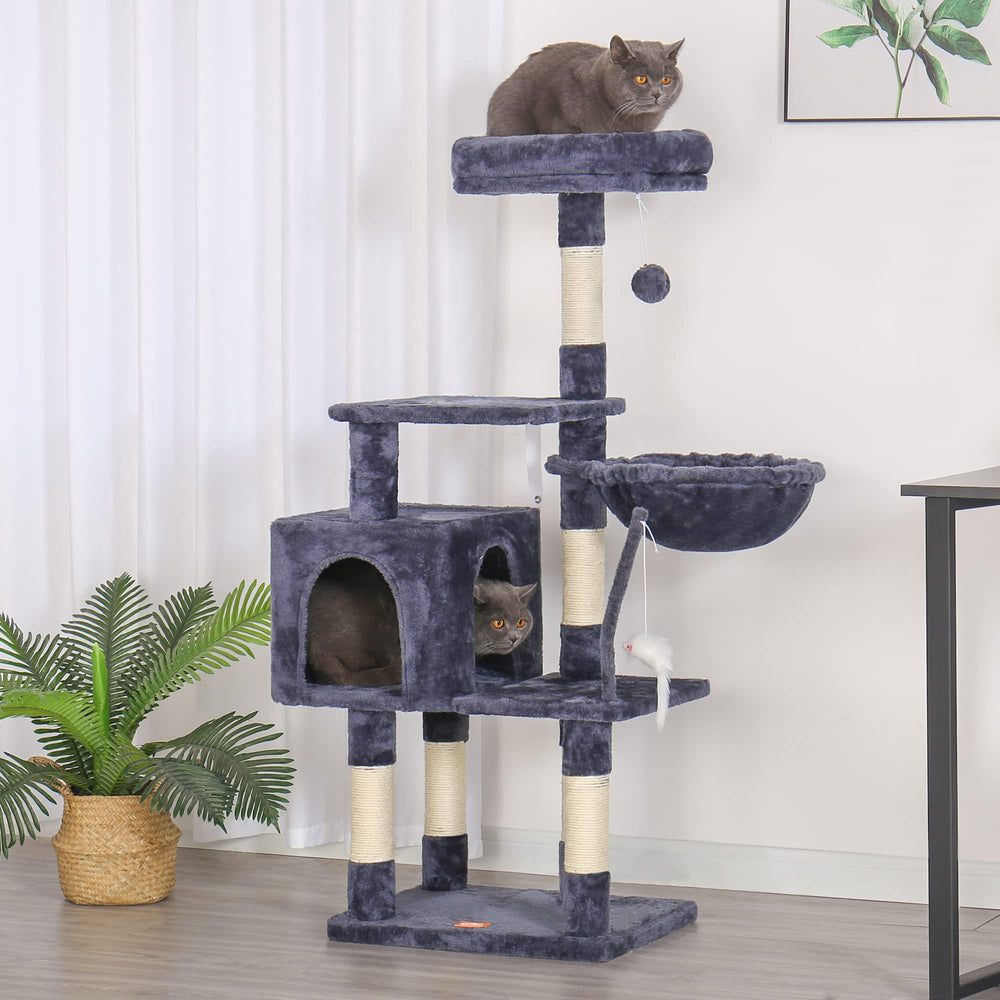 Heybly Cat Tree two-platform design expands play area and climbing routes.