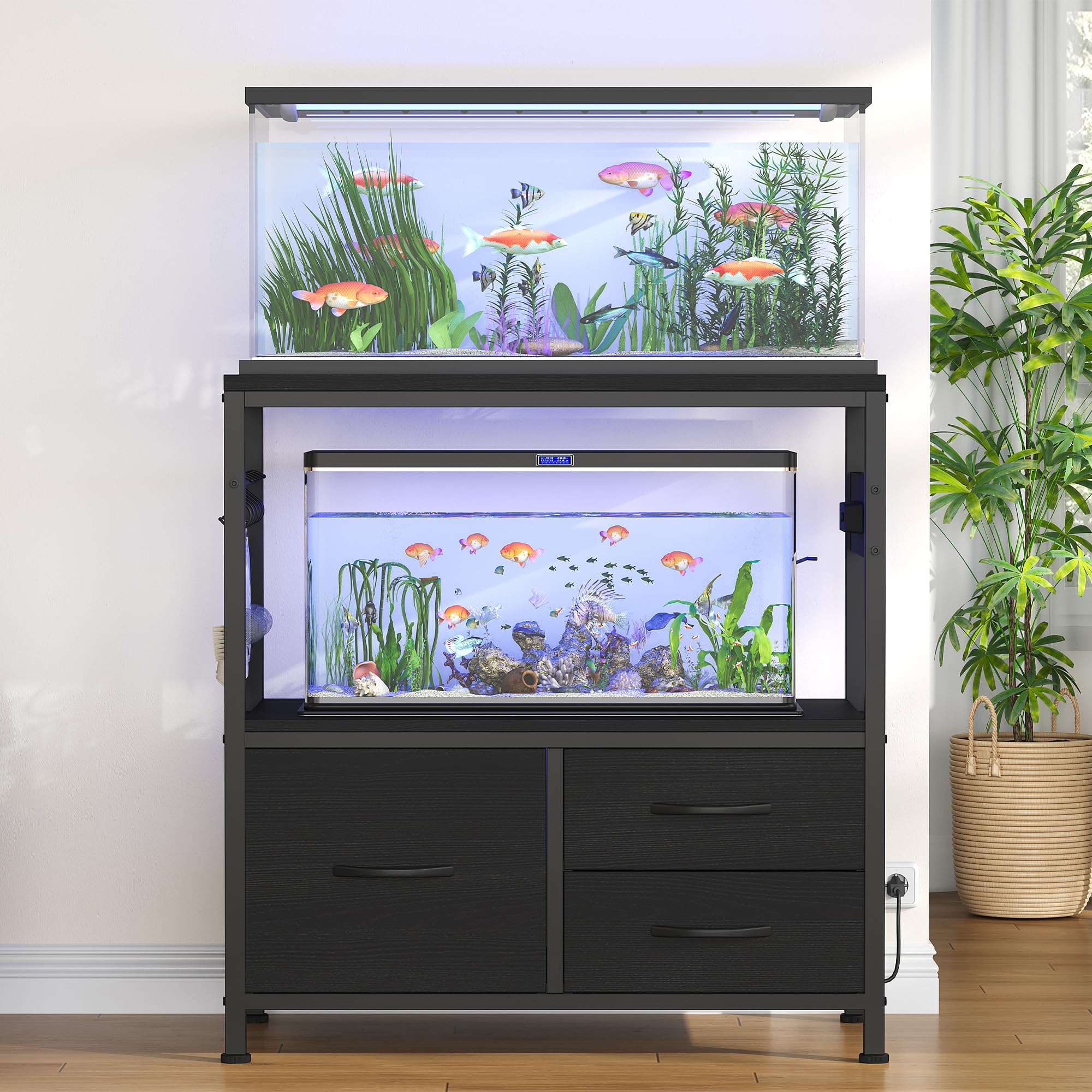 Heybly black color option complements home decor while housing aquatic habitats.