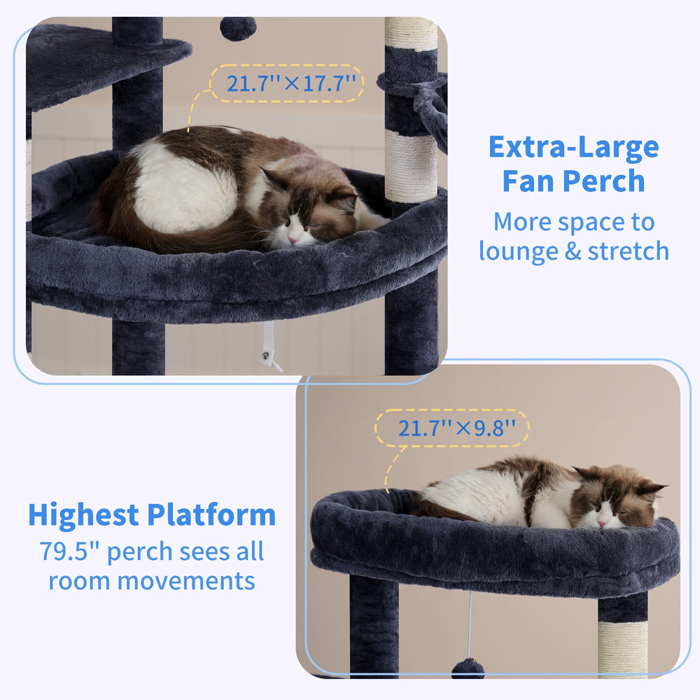 Heybly top-perch double-wide provides a comfy view and spacious resting spot.
