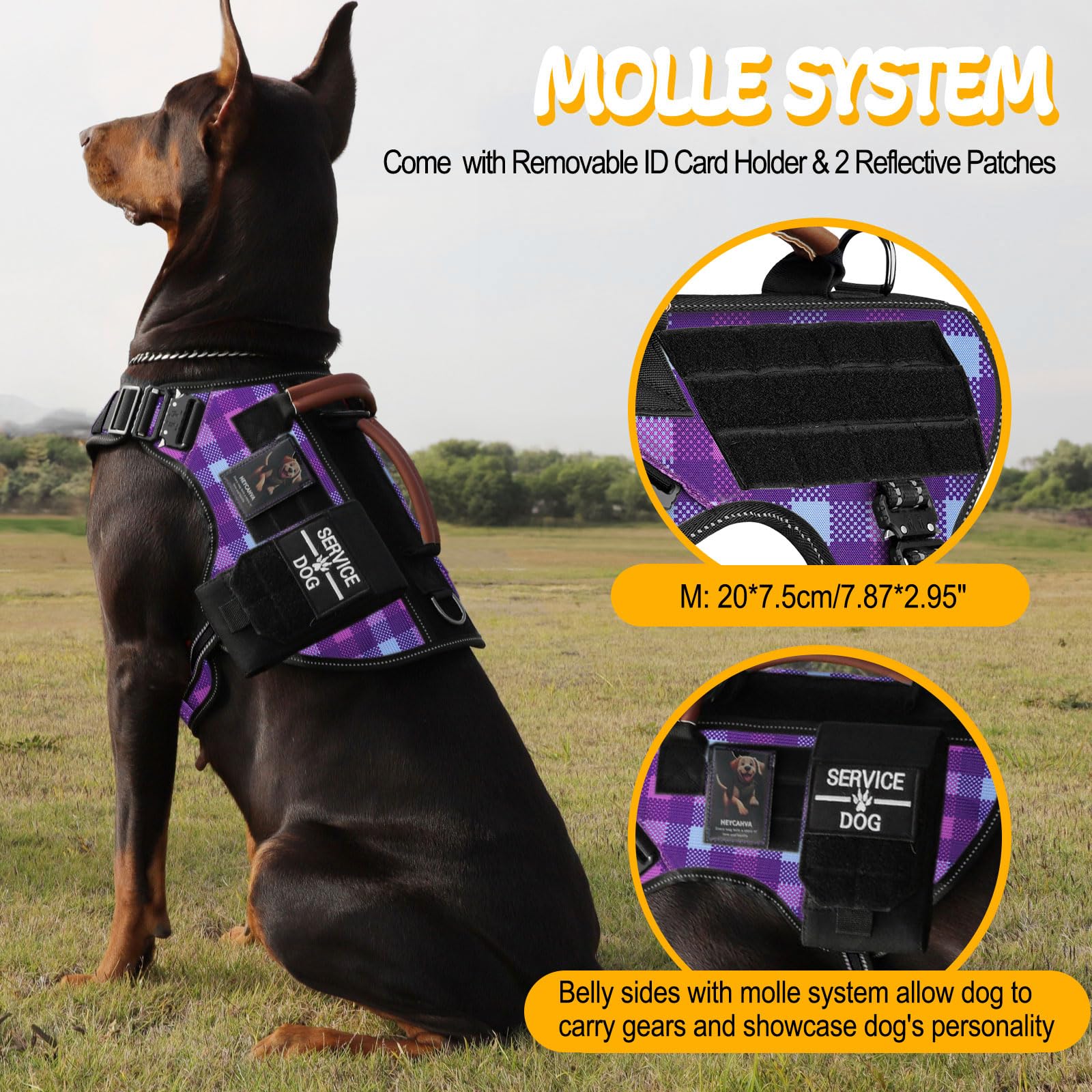 HEYCAHVA AirTag holder view provides location tracking during walks.