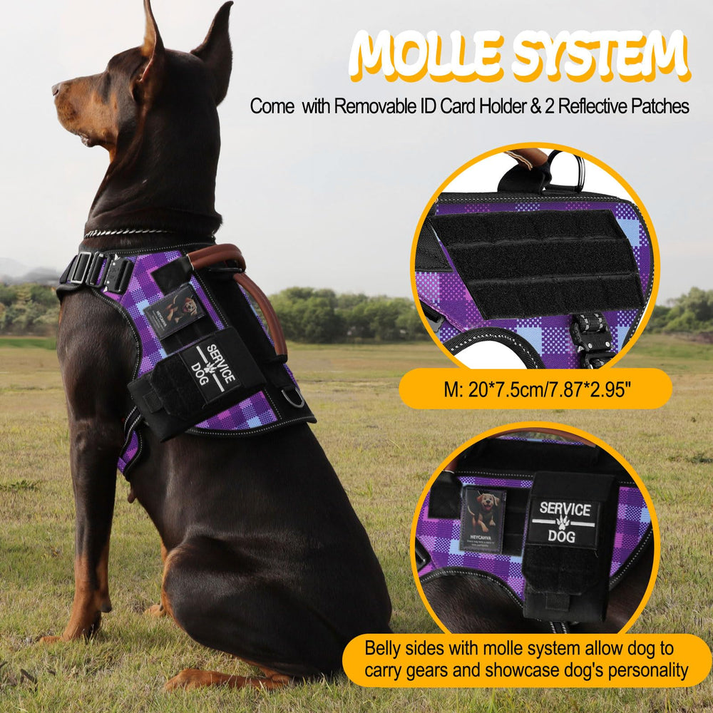 HEYCAHVA AirTag holder view provides location tracking during walks.