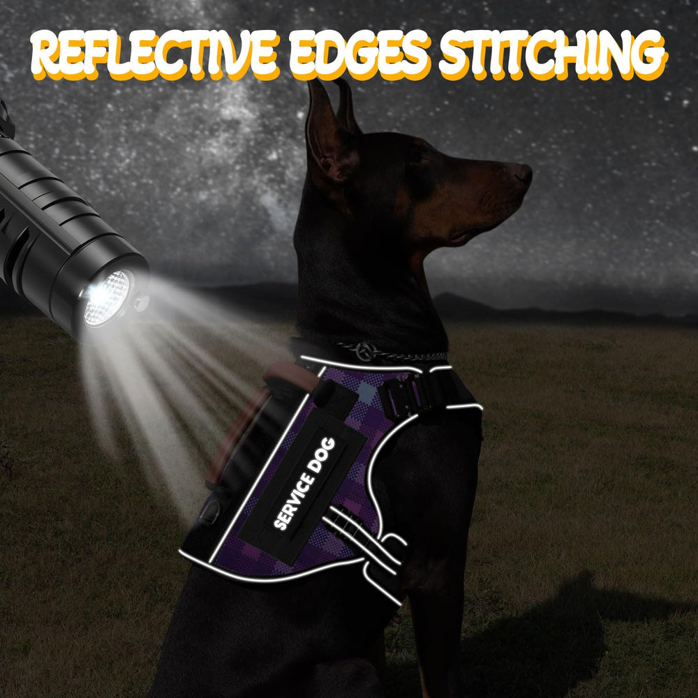 HEYCAHVA MOLLE panel close-up enables doggy accessories during training.