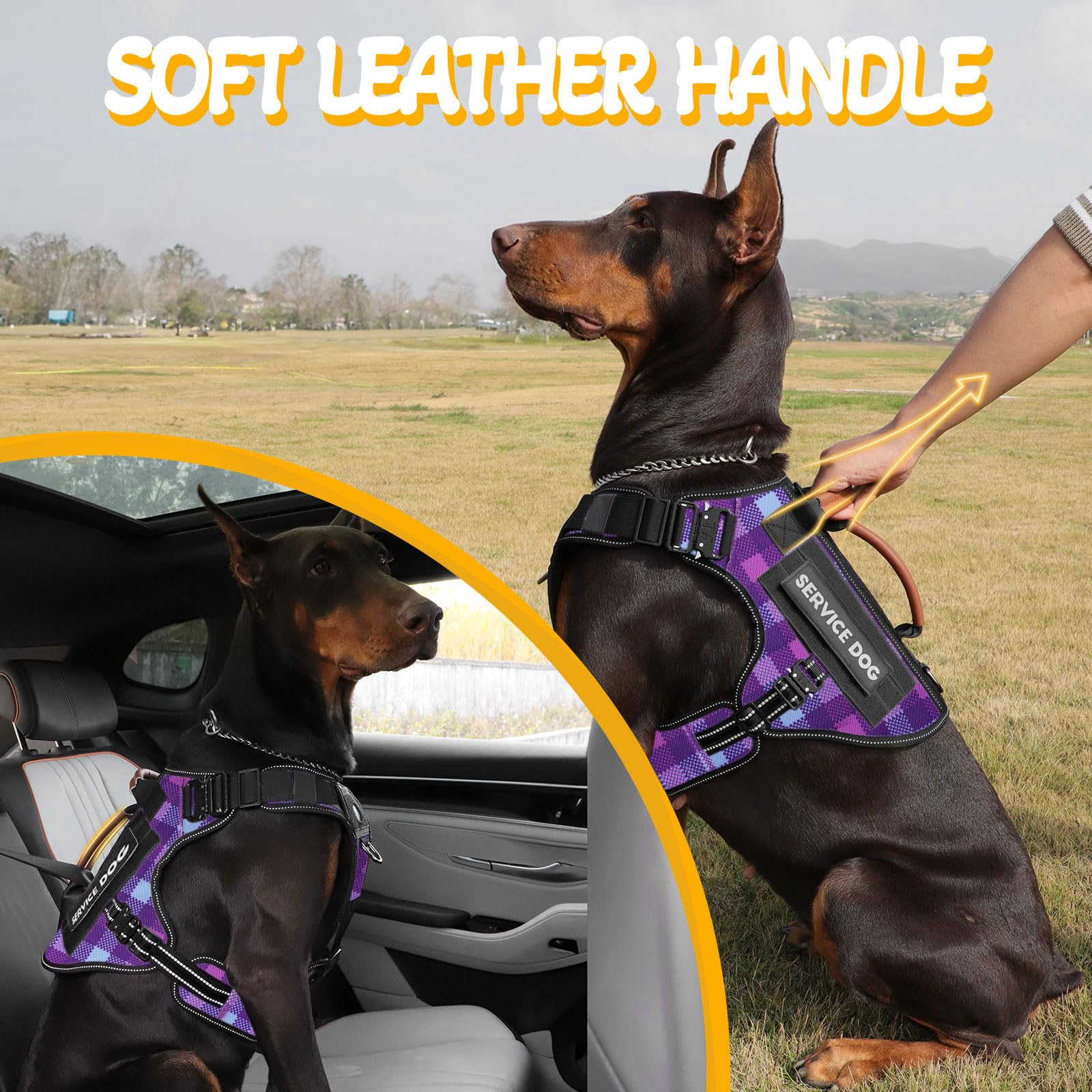 HEYCAHVA purple back view features rugged metal buckles for secure fit.