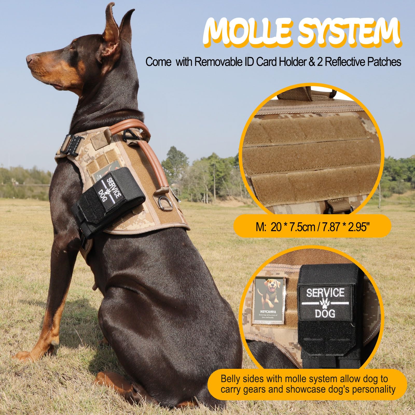 HEYCAHVA AirTag holder view highlights location protection during walks