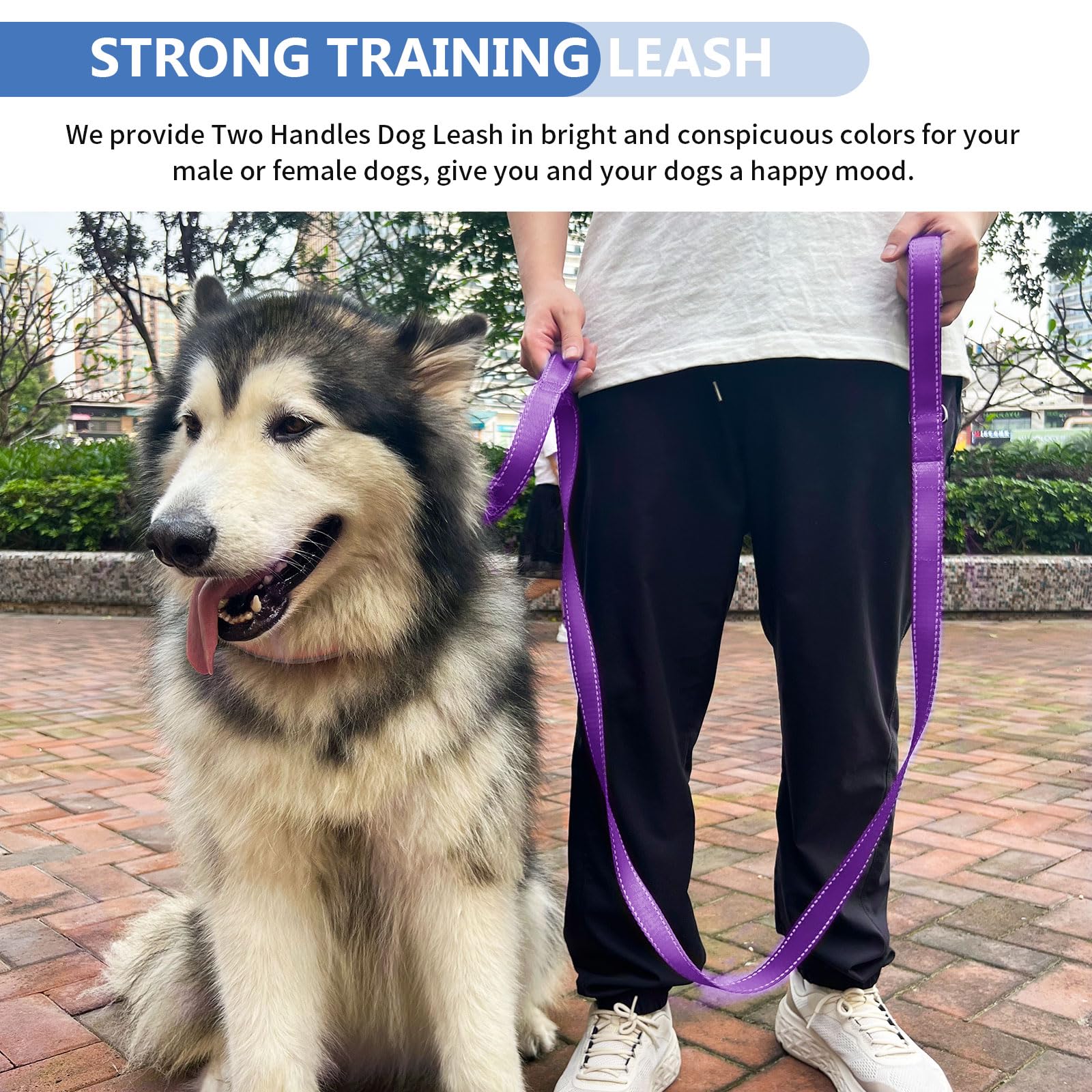 Heydoggy 4ft leash length suits small to large breeds for versatile walking