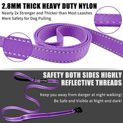 Heydoggy 2.8mm nylon webbing provides durable support for energetic dogs