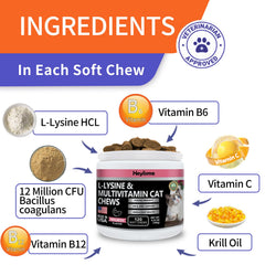 HEYISME Lysine cat treats package shows bite-size salmon-flavored daily-use option for cats.