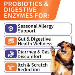 HEYISME dog soft chews close-up with enticing chicken flavor